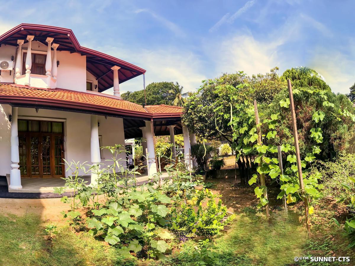 Ceylon Pearlwing Resort Negombo Exterior photo